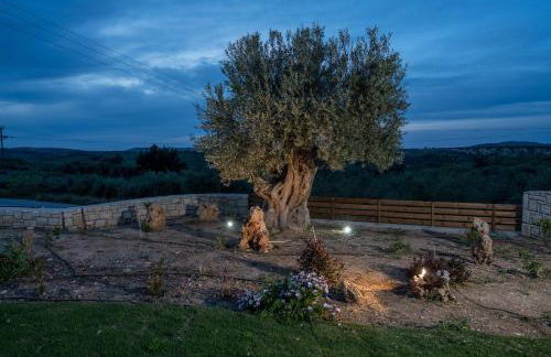 Olive Garden Villas - Photo 126