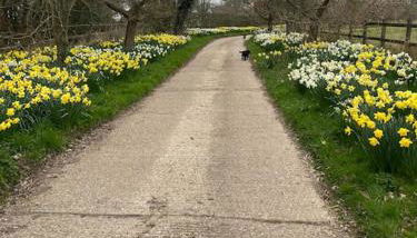 Hazelhurst - close to Bewl Water - Foto 4