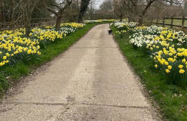 Hazelhurst - close to Bewl Water - Foto 4