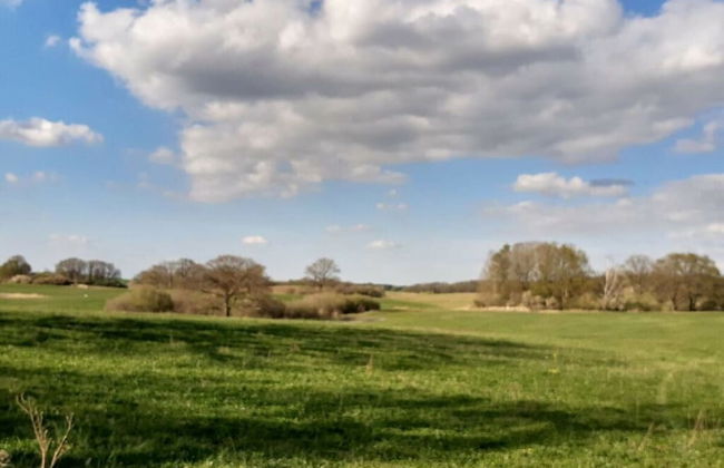 Time out Modern Retreat - Photo 11