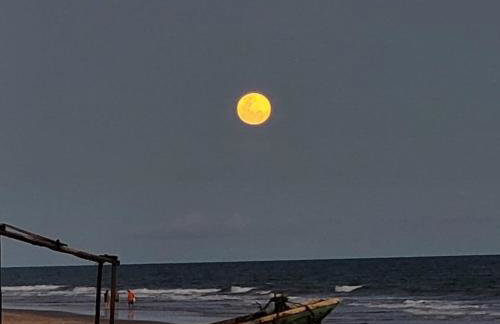 Casa beira mar com piscina Coruripe Povoado Miai de cima - Foto 43