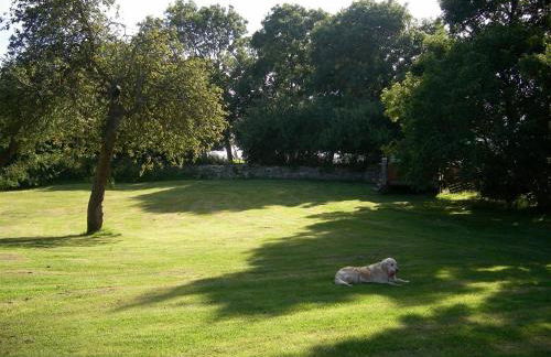 Coombe Orchard - Foto 8