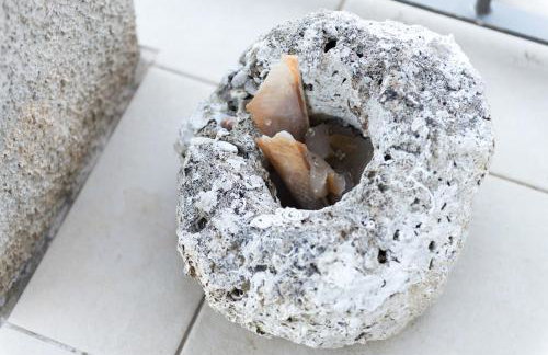 Apartments Vitorin - Foto 14