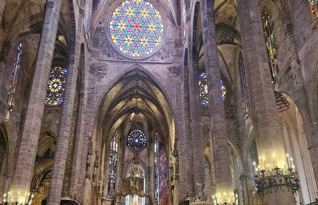 Ultimate Palma Tour: Historic Highlights Palaces, Gardens & Cathedral Tour - Foto 20