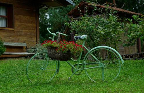 Dorina hiža - Foto 38