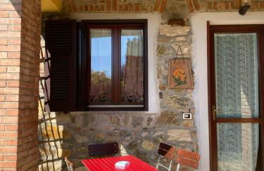 Agribike Agriturismo Poggio Rossino - Foto 19