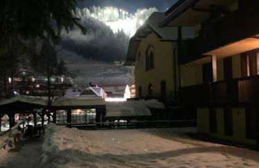 Des Alpes C Flat 11 - Foto 37