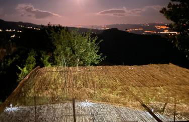 Villa Samaritana - Casa da Vinha - Photo 45