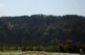 Agriturismo Ceriano - Foto 55