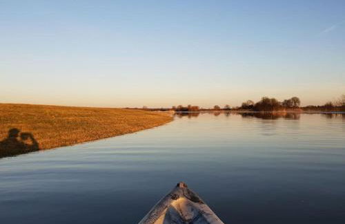 FeWo-Heidekreis right along the old river Leine - Photo 17