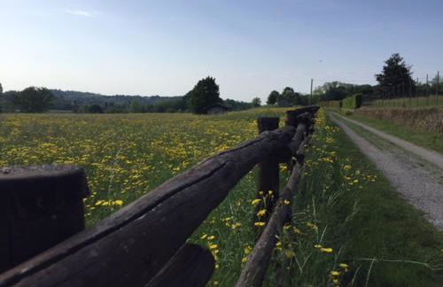 CAROLINE home - Foto 20