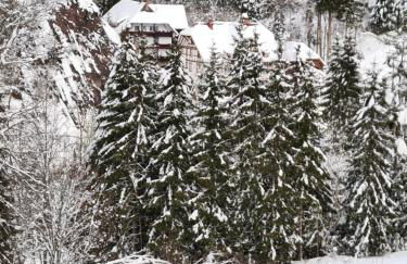 Waldblick Ferienwohnungen - Foto 13