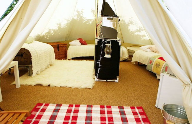 Whitecliff Bay Holiday Park - Foto 6