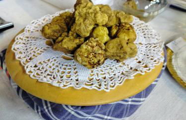 Casa Rosalinda, Monferrato cozy apartment - Foto 31