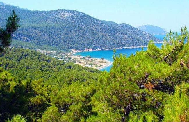 Laurel LK Houses in Kritinia Rhodes - Foto 15