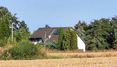 Bergblick-FeWo - Foto 1