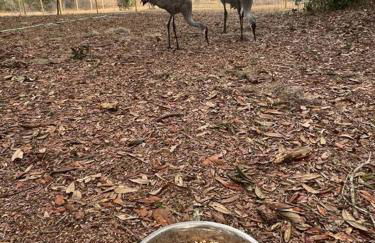 Half Moon Lake property - Foto 11