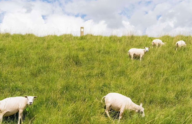 Idyllic Holiday Home in Ooltgensplaat With Private Terrace - Photo 35