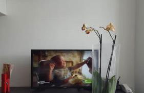 Piso con Encanto en Coruña. - Foto 36