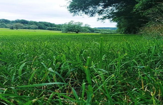 Apartment in Belgium With Bubble Bath - Foto 39