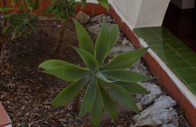 Encanto del Mar - Foto 29