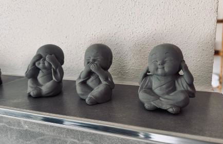 Domus Merian XII - Foto 48