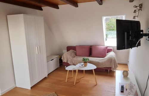 Studio Apartment for 1-2 People with Rhine View - Foto 18