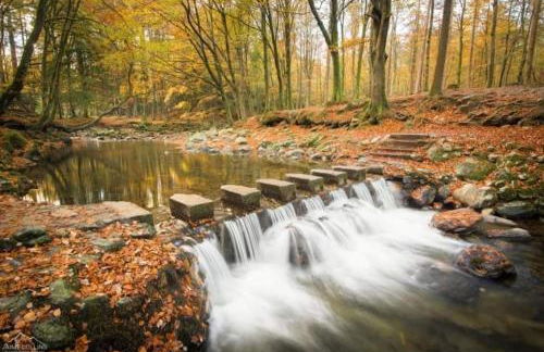 Pebble Creek Apartment - Foto 31