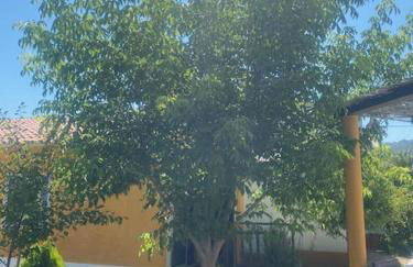 Casa Almenara - Foto 11