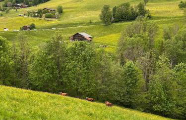 Appartement rénové au pied des pistes avec piscine, sauna, linge inclus et animaux acceptés - Foto 27