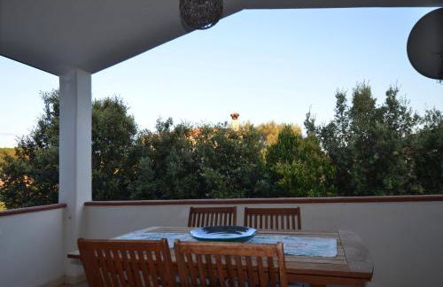 FSL-Quas01 - Foto 31