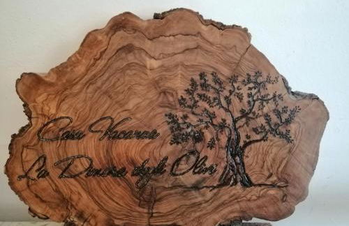 La Dimora degli Olivi - Foto 16