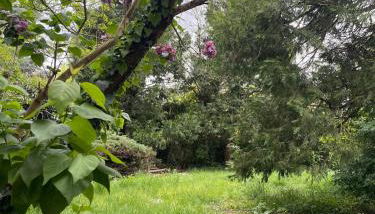 Comfort & Design Apartment in Orléans - Foto 4, Garden