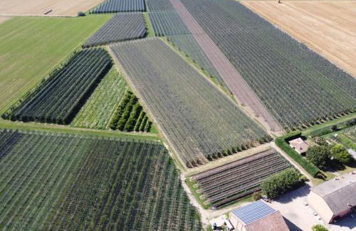 Agriturismo Fondo Novelle La Casina - Foto 40