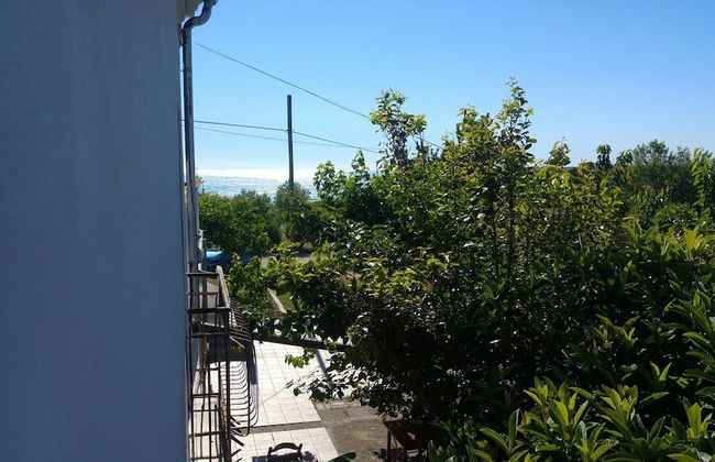 Il Giardino fra gli Ulivi - Foto 44