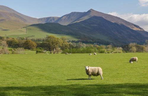 Scale Force - Foto 3