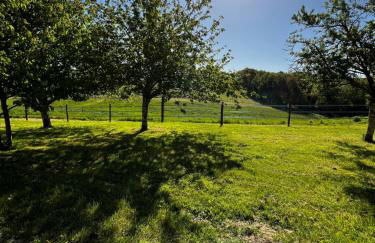 Maison de famille chaleureuse - Foto 29