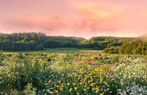 Large, atmospheric cottage in the countryside - Foto 35