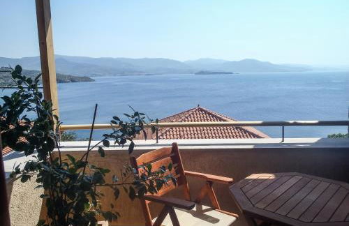 Grand View Rhea - Photo 1