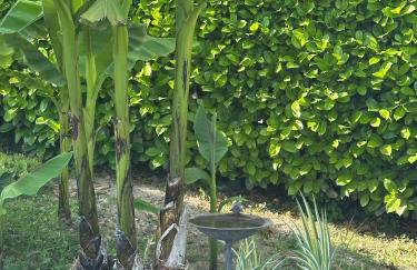 Apartman Perla - Foto 38