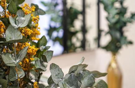 Apartamentos Puente Romano Suites Parking Gratis - Foto 48