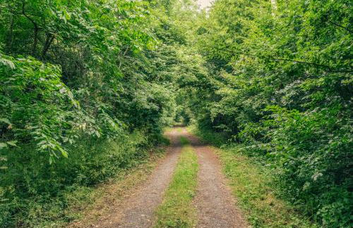 Idyllic Countryside Cottage in Worcestershire - Foto 64