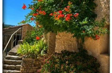 La Providence - Photo 43