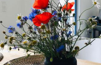 Ferienhaus Lagom - Foto 15