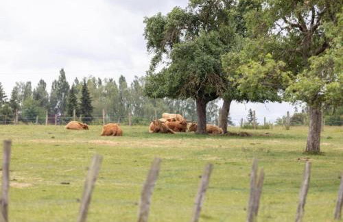 Elegant Appartment in Niderviller Near Forest, France - Foto 106