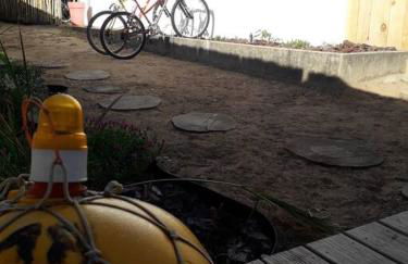 Les pieds dans l' eau - Photo 62