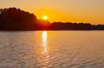 Bobrowa Ostoja - Photo 43