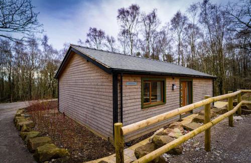 Ashenhurst, woodland lodge with hot tub for 4 - Foto 2