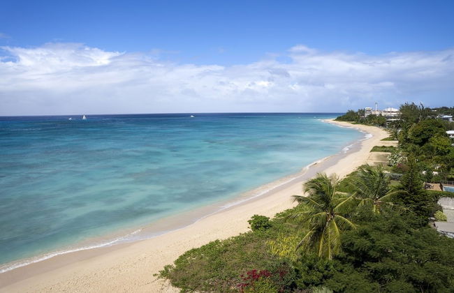 Allure 205 3 Bedroom Apts - Photo 18