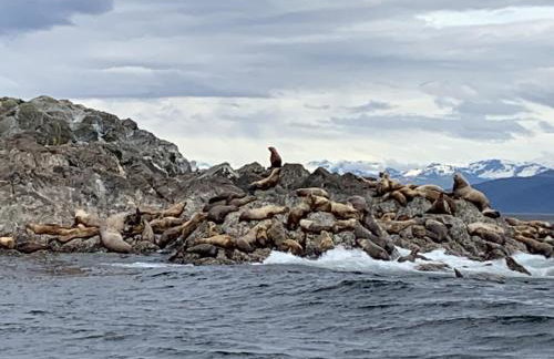 Accessible, Comfort, Convenient Location 106 - Foto 19